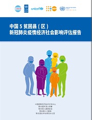 中国5贫困县（区）新冠肺炎疫情经济社会影响评估报告