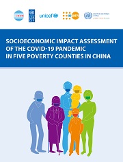 Socioeconomic impact assessment of the COVID-19 pandemic in five poverty counties in China