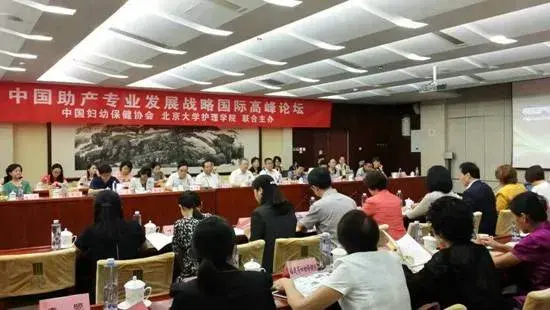 联合国人口基金驻华代表处代理代表巴素雅女士在 “中国助产专业发展战略国际高峰论坛”上的讲话